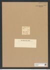 Zygoceros ? styliger Ehrenb. (de-Toni-Nr.: Genus 126, Species 3544) Zeichnungen Sammlung Grunow Nr. 7029 (NHMW-BOT-W0375952)